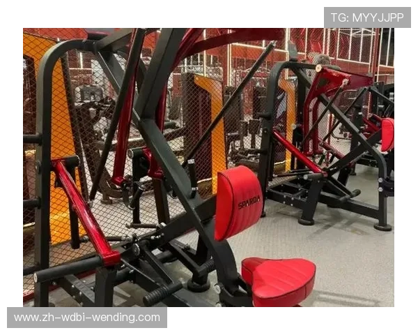瑞利达健身器材官网：了解瑞利达健身器材的品牌与产品